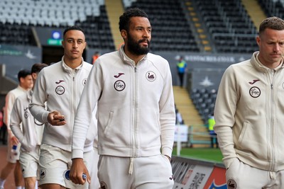 Swansea City v Southampton 180426