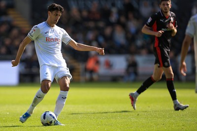 180426 - Swansea City v Southampton - Sky Bet Championship - Marko Stamenic of Swansea City