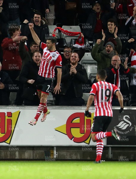 310117 - Swansea City v Southampton - Premier League - Shane Long of Southampton celebrates scoring a goal