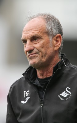 060816 -  Swansea City v Stade Rennais, Pre-season Friendly - Swansea head coach Francesco Guidolin reacts during the match