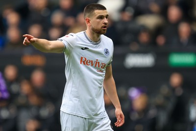 070326 - Swansea City v Stoke City - Sky Bet Championship - Zan Vipotnik of Swansea City