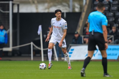 070326 - Swansea City v Stoke City - Sky Bet Championship - Marko Stamenic of Swansea City