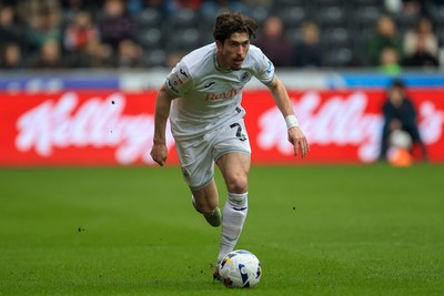 Swansea City v Stoke City 070326