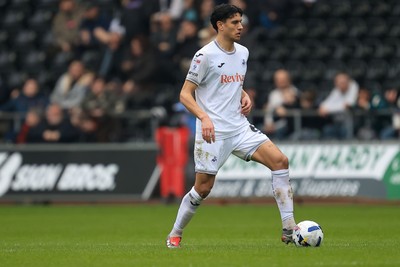 070326 - Swansea City v Stoke City - Sky Bet Championship - Marko Stamenic of Swansea City