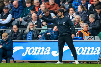 070326 - Swansea City v Stoke City - Sky Bet Championship - Swansea City Manager Vitor Matos
