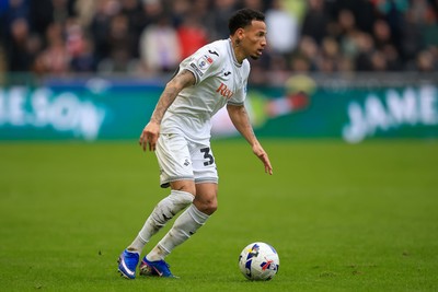 070326 - Swansea City v Stoke City - Sky Bet Championship - Ronald of Swansea City