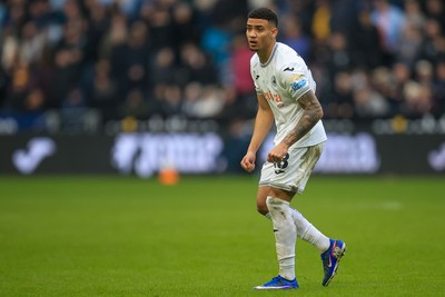 070326 - Swansea City v Stoke City - Sky Bet Championship - Gustavo Nunes of Swansea City