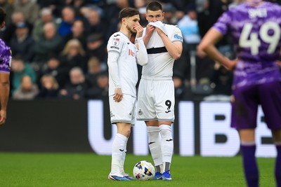 070326 - Swansea City v Stoke City - Sky Bet Championship - Liam Cullen of Swansea City an Zan Vipotnik of Swansea City