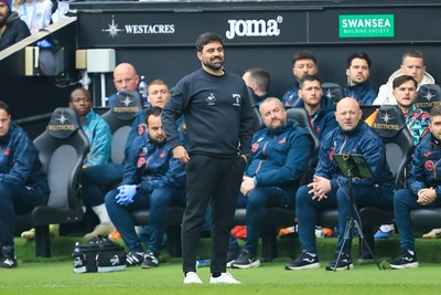 070326 - Swansea City v Stoke City - Sky Bet Championship - Swansea City Manager Vitor Matos