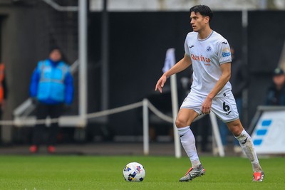 070326 - Swansea City v Stoke City - Sky Bet Championship - Marko Stamenic of Swansea City