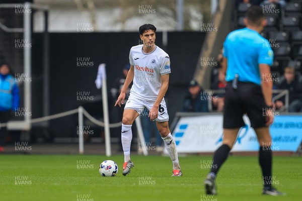 070326 - Swansea City v Stoke City - Sky Bet Championship - Marko Stamenic of Swansea City