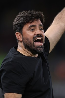 010926 Swansea City v Watford, EFL Sky Bet Championship - Swansea City head coach Vitor Matos reacts during the match