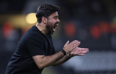 010926 Swansea City v Watford, EFL Sky Bet Championship - Swansea City head coach Vitor Matos reacts during the match