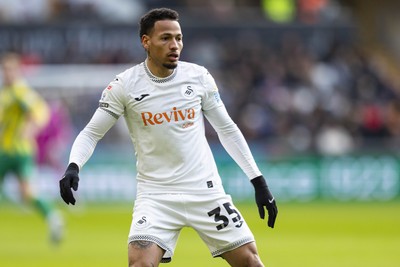 010126 - Swansea City v West Bromwich Albion - Sky Bet Championship - Ronald of Swansea City in action
