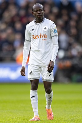 010126 - Swansea City v West Bromwich Albion - Sky Bet Championship - Malick Yalcouye of Swansea City in action