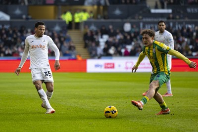 010126 - Swansea City v West Bromwich Albion - Sky Bet Championship - Ronald of Swansea City in action