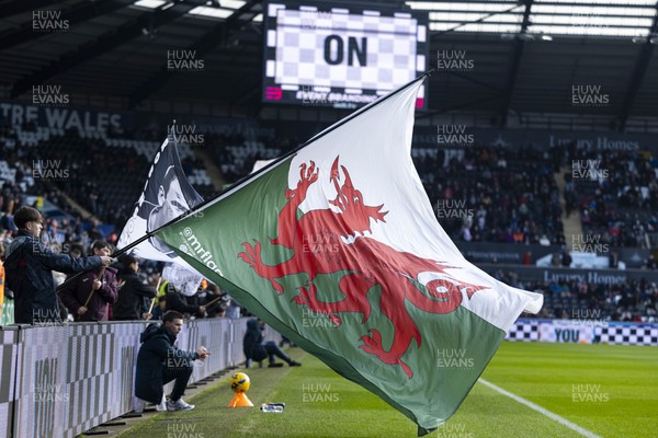 010126 - Swansea City v West Bromwich Albion - Sky Bet Championship - Welsh flag
