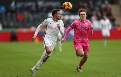 Swansea City v West Bromwich Albion 040125