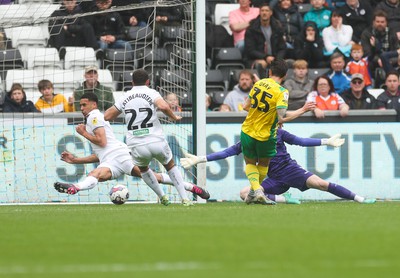 Swansea City v West Bromwich Albion 080523