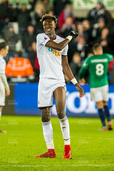 091217 - Swansea City v West Bromwich Albion, Premier League -  Tammy Abraham of Swansea City celebrates their win at final whistle 