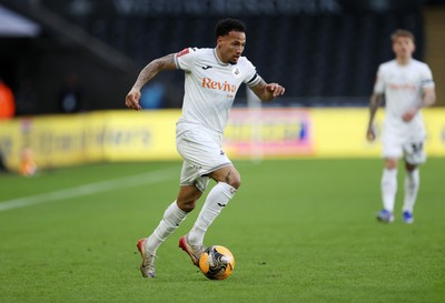 110126 - Swansea City v West Bromwich Albion - FA Cup Third Round - Ronald of Swansea City 