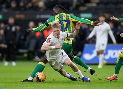 110126 - Swansea City v West Bromwich Albion - FA Cup Third Round - Melker Widell of Swansea City is tackled by Ousmane Diakite and Chris Mepham of West Brom 