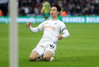 Swansea City v West Bromwich Albion 110125