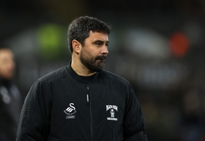 110126 - Swansea City v West Bromwich Albion - FA Cup Third Round - Swansea City Manager Vitor Matos 