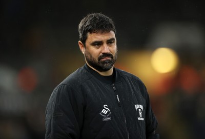 110126 - Swansea City v West Bromwich Albion - FA Cup Third Round - Swansea City Manager Vitor Matos 