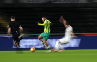 110126 - Swansea City v West Bromwich Albion - FA Cup Third Round - Karlan Grant of West Brom 