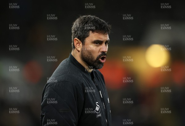 110126 - Swansea City v West Bromwich Albion - FA Cup Third Round - Swansea City Manager Vitor Matos 