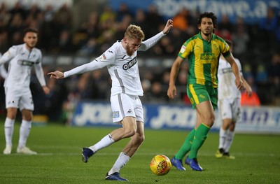 Swansea City v West Bromwich Albion 281118