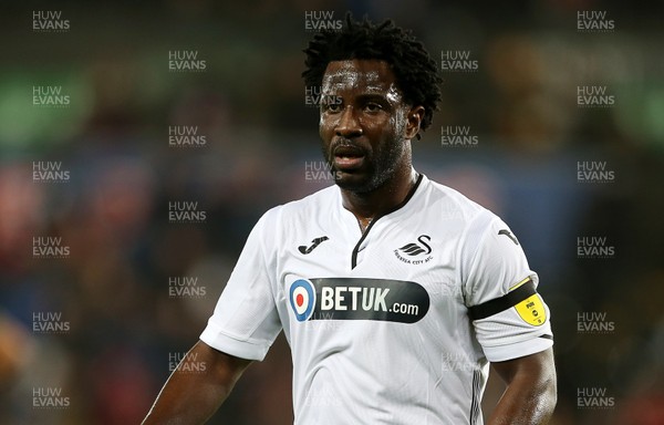 281118 - Swansea City v West Bromwich Albion - SkyBet Championship - Wilfried Bony of Swansea City