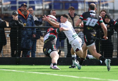 101026 Swansea RFC v Ebbw Vale, Super Rugbi Cymru - Matthew Aubrey of Swansea dives in to score try