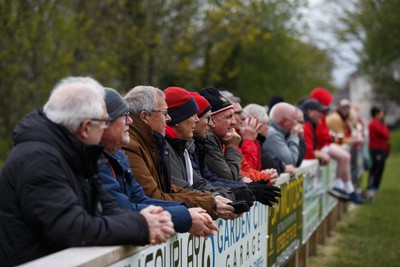 270424 - Tonna RFC v Glyncorrwg RFC - Admiral National League 4 West Central -