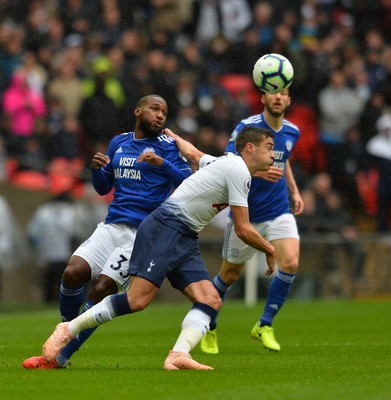 Tottenham Hotspur v Cardiff City 061018