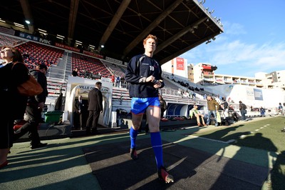 Toulon v Scarlets 111216