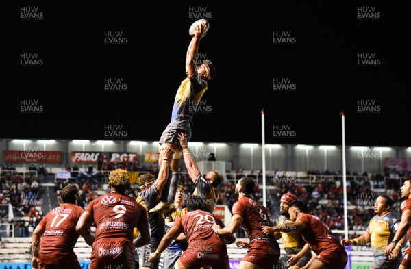190920 - Toulon v Scarlets - European Rugby Challenge Cup Quarter Final - Lewis Rawlins of Scarlets wins line out ball