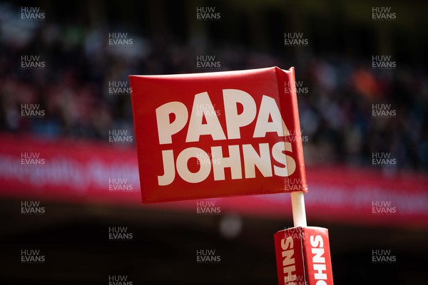 240422 - WRU Championship Plate Final � Trebanos v Bedwas - Papa Johns pitch branding