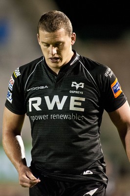 Treviso v Ospreys 310812