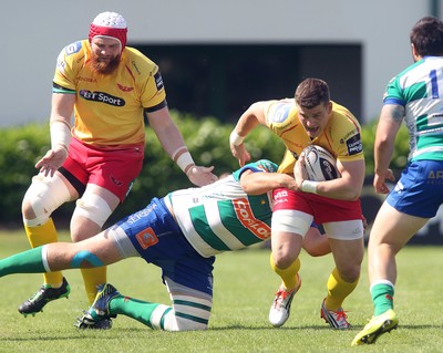 Treviso v Scarlets 160515