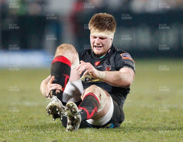 120413 Ulster v Dragons - RaboDirect Pro 12 - Andrew Coombs of Dragons goes down clutching his ankle 