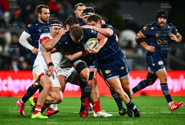260925 - Ulster v Dragons RFC - United Rugby Championship -  Matthew Screech of Dragons is tackled by Rob Herring of Ulster 