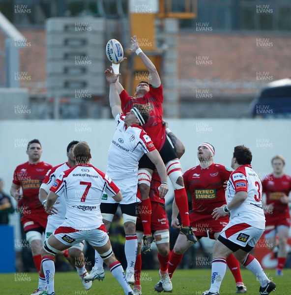 100513 - Ulster v Scarlets - RaboDirect Pro 12 Semi-Final - Aaron Shingler of Scarlets beats Robbie Diack of Ulster to the ball 