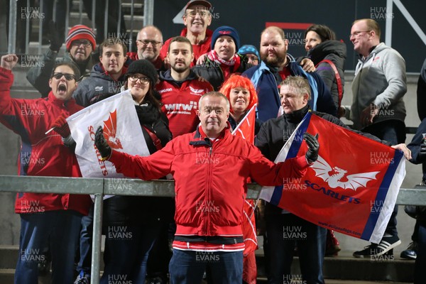 141218 - Ulster v Scarlets - European Rugby Champions Cup -  Scarlets fans