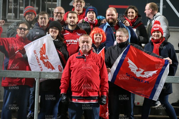 141218 - Ulster v Scarlets - European Rugby Champions Cup -  Scarlets fans