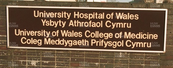 230395 - General View of University Hospital of South Wales, Heath, Cardiff