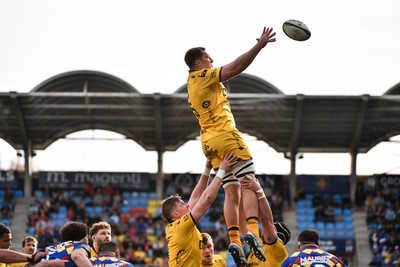 071225 - USA Perpignan v Dragons RFC - EPCR Challenge Cup - Ben Carter of Dragons RFC