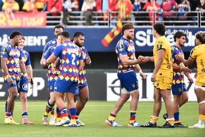 071225 - USA Perpignan v Dragons RFC - EPCR Challenge Cup - Players shake hands at the end of the match