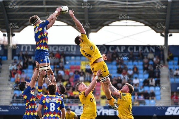 071225 - USA Perpignan v Dragons RFC - EPCR Challenge Cup - Ben Carter of Dragons RFC